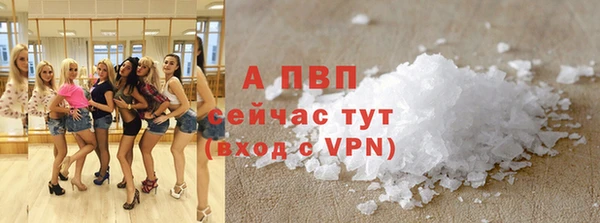 эйфоретик Бикин